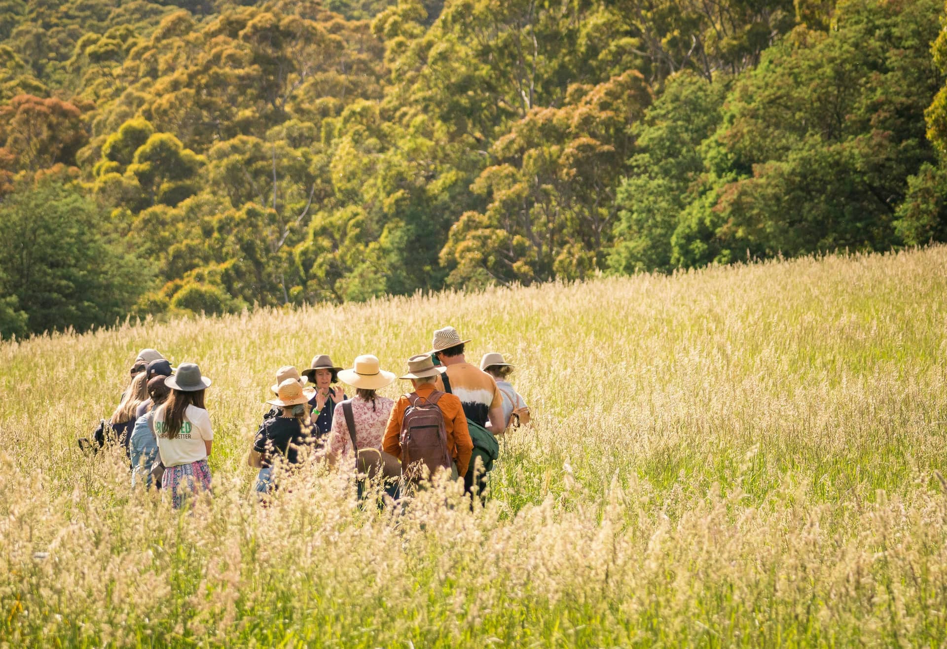 Grounded Festival 2026